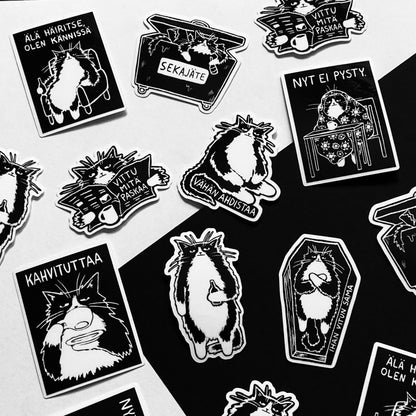 Darrakatti Tarrapaketti 8kpl